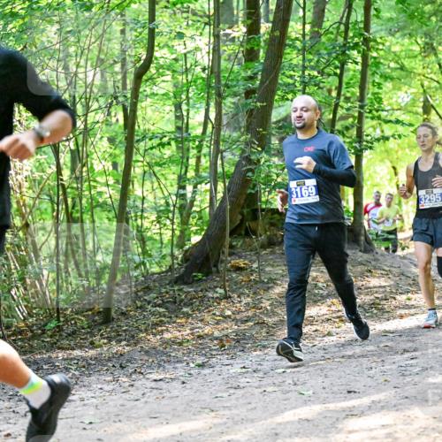28.09.2025 - 33. Volkslauf durch das schöne Alstertal Dr. Thomas Lammeyer http://msf.ph/oto/8960994 28.09.2025 11:05:57 Laufen 3030, 3169, 3295, 3052 meine-sportfotos.de
