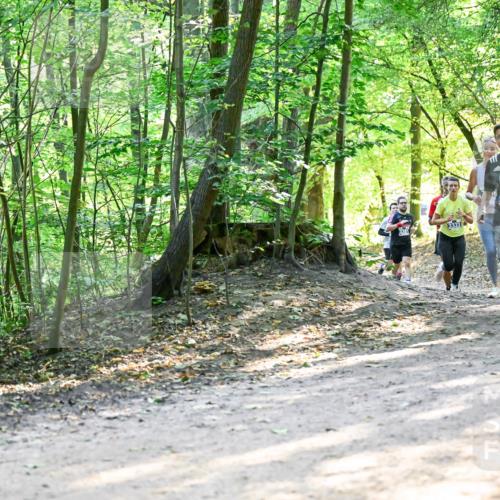 28.09.2025 - 33. Volkslauf durch das schöne Alstertal Dr. Thomas Lammeyer http://msf.ph/oto/8961004 28.09.2025 11:05:59 Laufen 3333, 3292, 3927 meine-sportfotos.de