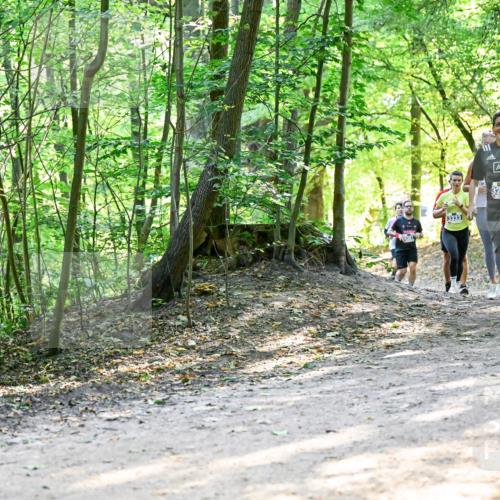 28.09.2025 - 33. Volkslauf durch das schöne Alstertal Dr. Thomas Lammeyer http://msf.ph/oto/8961006 28.09.2025 11:05:59 Laufen 3333, 3927, 3292 meine-sportfotos.de