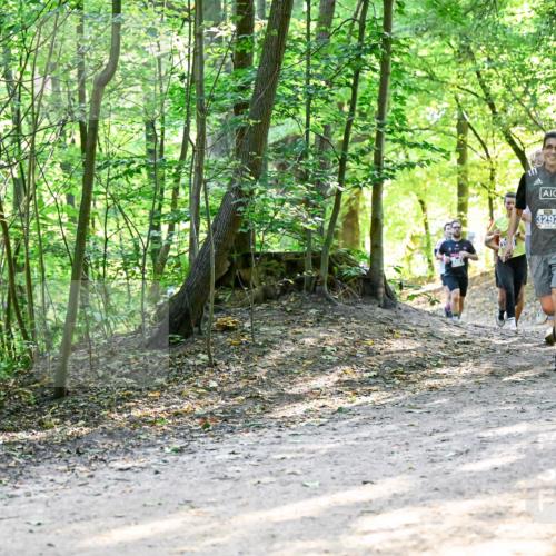 28.09.2025 - 33. Volkslauf durch das schöne Alstertal Dr. Thomas Lammeyer http://msf.ph/oto/8961007 28.09.2025 11:06:00 Laufen 3292, 3927 meine-sportfotos.de