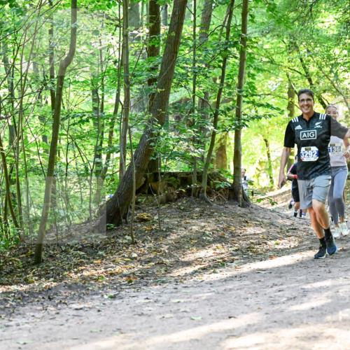 28.09.2025 - 33. Volkslauf durch das schöne Alstertal Dr. Thomas Lammeyer http://msf.ph/oto/8961009 28.09.2025 11:06:00 Laufen 3292, 136, 3927 meine-sportfotos.de