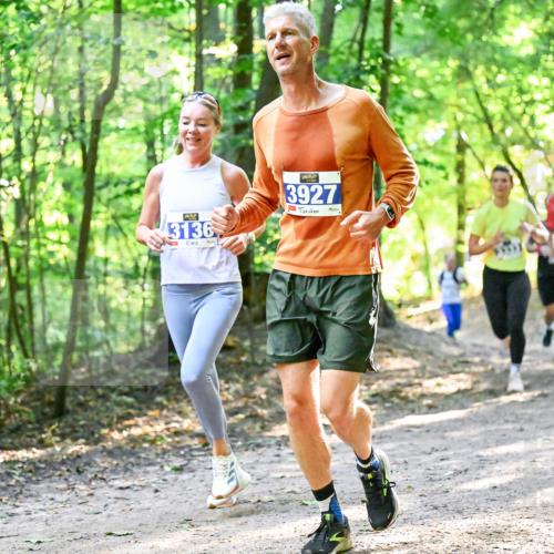 28.09.2025 - 33. Volkslauf durch das schöne Alstertal Dr. Thomas Lammeyer http://msf.ph/oto/8961022 28.09.2025 11:06:02 Laufen 3136, 3927 meine-sportfotos.de