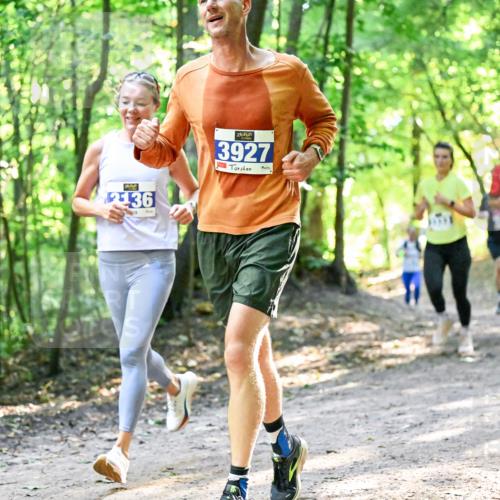 28.09.2025 - 33. Volkslauf durch das schöne Alstertal Dr. Thomas Lammeyer http://msf.ph/oto/8961023 28.09.2025 11:06:02 Laufen 78258, 2136, 3927 meine-sportfotos.de