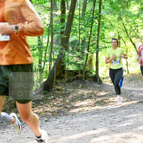 28.09.2025 - 33. Volkslauf durch das schöne Alstertal Dr. Thomas Lammeyer http://msf.ph/oto/8961026 28.09.2025 11:06:03 Laufen 3333 meine-sportfotos.de