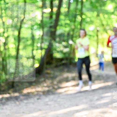 28.09.2025 - 33. Volkslauf durch das schöne Alstertal Dr. Thomas Lammeyer http://msf.ph/oto/8961027 28.09.2025 11:06:03 Laufen  meine-sportfotos.de
