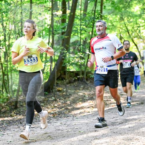 28.09.2025 - 33. Volkslauf durch das schöne Alstertal Dr. Thomas Lammeyer http://msf.ph/oto/8961028 28.09.2025 11:06:04 Laufen 3333, 1, 3201 meine-sportfotos.de