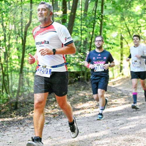 28.09.2025 - 33. Volkslauf durch das schöne Alstertal Dr. Thomas Lammeyer http://msf.ph/oto/8961034 28.09.2025 11:06:05 Laufen 3201, 3381 meine-sportfotos.de