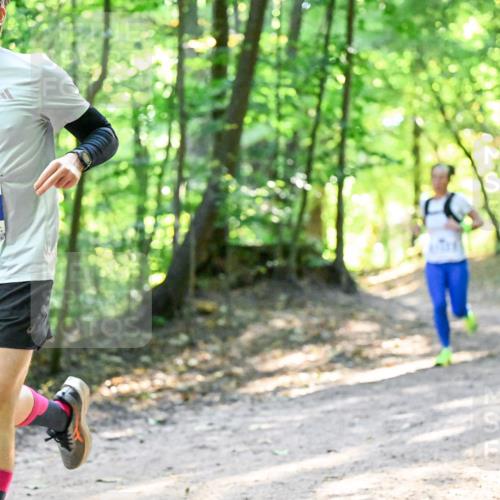 28.09.2025 - 33. Volkslauf durch das schöne Alstertal Dr. Thomas Lammeyer http://msf.ph/oto/8961044 28.09.2025 11:06:07 Laufen 3396 meine-sportfotos.de