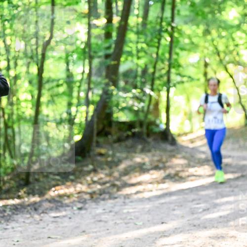 28.09.2025 - 33. Volkslauf durch das schöne Alstertal Dr. Thomas Lammeyer http://msf.ph/oto/8961046 28.09.2025 11:06:07 Laufen 9 meine-sportfotos.de