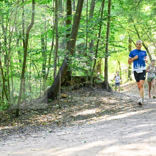 28.09.2025 - 33. Volkslauf durch das schöne Alstertal Dr. Thomas Lammeyer http://msf.ph/oto/8961218 28.09.2025 11:06:46 Laufen 3360, 3382, 3248 meine-sportfotos.de