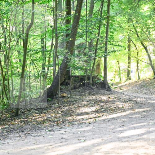 28.09.2025 - 33. Volkslauf durch das schöne Alstertal Dr. Thomas Lammeyer http://msf.ph/oto/8961634 28.09.2025 11:07:53 Laufen  meine-sportfotos.de