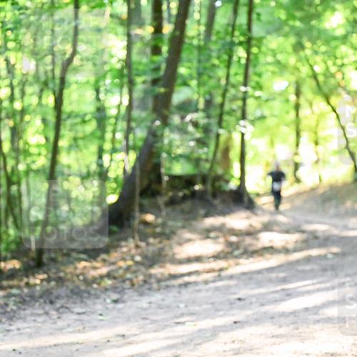28.09.2025 - 33. Volkslauf durch das schöne Alstertal Dr. Thomas Lammeyer http://msf.ph/oto/8961887 28.09.2025 11:08:49 Laufen  meine-sportfotos.de
