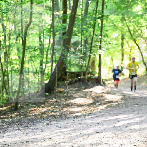 28.09.2025 - 33. Volkslauf durch das schöne Alstertal Dr. Thomas Lammeyer http://msf.ph/oto/8962135 28.09.2025 11:10:07 Laufen  meine-sportfotos.de