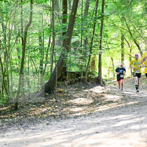28.09.2025 - 33. Volkslauf durch das schöne Alstertal Dr. Thomas Lammeyer http://msf.ph/oto/8962139 28.09.2025 11:10:07 Laufen 3937 meine-sportfotos.de