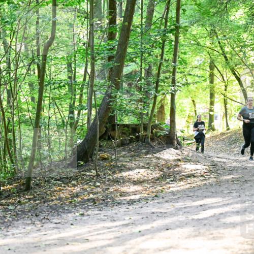 28.09.2025 - 33. Volkslauf durch das schöne Alstertal Dr. Thomas Lammeyer http://msf.ph/oto/8962251 28.09.2025 11:10:30 Laufen 3115 meine-sportfotos.de