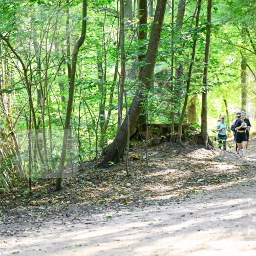 28.09.2025 - 33. Volkslauf durch das schöne Alstertal Dr. Thomas Lammeyer http://msf.ph/oto/8962401 28.09.2025 11:11:02 Laufen  meine-sportfotos.de
