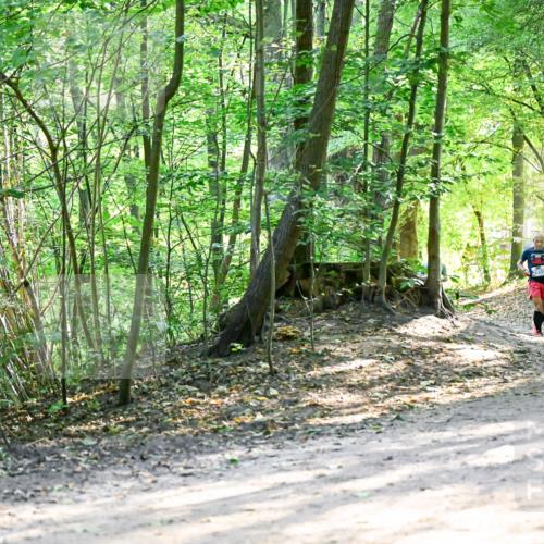 28.09.2025 - 33. Volkslauf durch das schöne Alstertal Dr. Thomas Lammeyer http://msf.ph/oto/8962468 28.09.2025 11:11:13 Laufen  meine-sportfotos.de