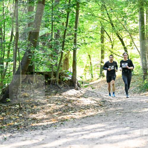 28.09.2025 - 33. Volkslauf durch das schöne Alstertal Dr. Thomas Lammeyer http://msf.ph/oto/8962562 28.09.2025 11:11:50 Laufen 3372 meine-sportfotos.de
