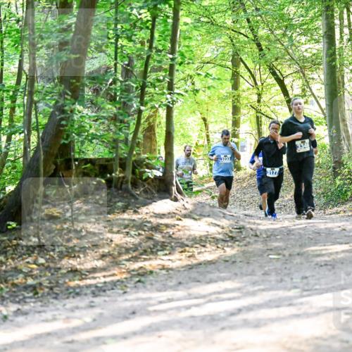 28.09.2025 - 33. Volkslauf durch das schöne Alstertal Dr. Thomas Lammeyer http://msf.ph/oto/8962629 28.09.2025 11:12:09 Laufen 3177 meine-sportfotos.de