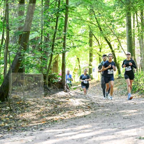 28.09.2025 - 33. Volkslauf durch das schöne Alstertal Dr. Thomas Lammeyer http://msf.ph/oto/8962733 28.09.2025 11:12:27 Laufen 218, 3022, 3023 meine-sportfotos.de