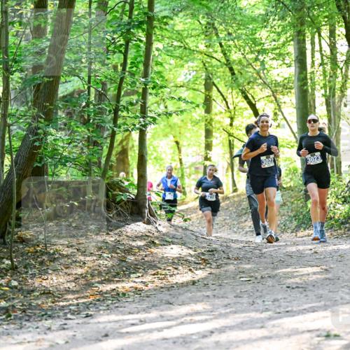 28.09.2025 - 33. Volkslauf durch das schöne Alstertal Dr. Thomas Lammeyer http://msf.ph/oto/8962739 28.09.2025 11:12:28 Laufen 3022, 3023 meine-sportfotos.de