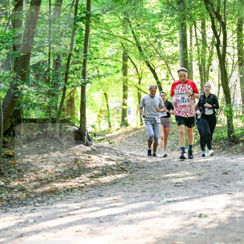 28.09.2025 - 33. Volkslauf durch das schöne Alstertal Dr. Thomas Lammeyer http://msf.ph/oto/8962988 28.09.2025 11:13:18 Laufen 3175, 3064 meine-sportfotos.de