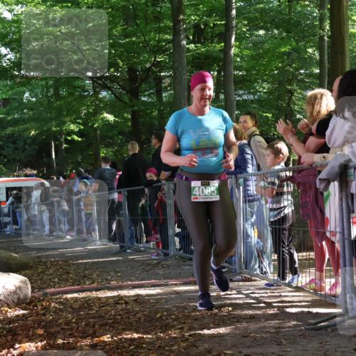 28.09.2025 - 33. Volkslauf durch das schöne Alstertal Strokosch-Dieckow http://msf.ph/oto/8963734 28.09.2025 11:05:50 Ziel 4085 meine-sportfotos.de