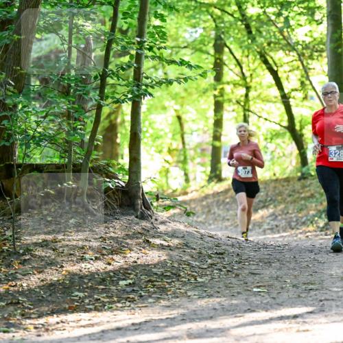 28.09.2025 - 33. Volkslauf durch das schöne Alstertal Dr. Thomas Lammeyer http://msf.ph/oto/8964407 28.09.2025 11:20:38 Laufen 3073, 3289 meine-sportfotos.de