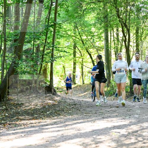 28.09.2025 - 33. Volkslauf durch das schöne Alstertal Dr. Thomas Lammeyer http://msf.ph/oto/8964614 28.09.2025 11:22:48 Laufen 3172 meine-sportfotos.de