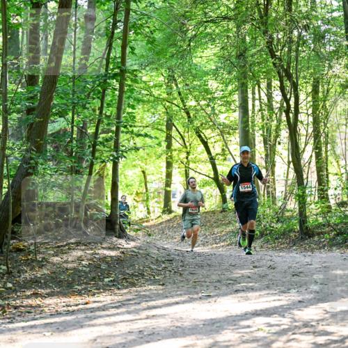 28.09.2025 - 33. Volkslauf durch das schöne Alstertal Dr. Thomas Lammeyer http://msf.ph/oto/8964785 28.09.2025 11:23:47 Laufen 1628, 1544 meine-sportfotos.de