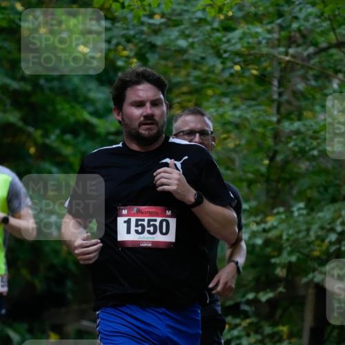 28.09.2025 - 33. Volkslauf durch das schöne Alstertal Patografie http://msf.ph/oto/8965905 28.09.2025 09:10:51 Laufen 1550 meine-sportfotos.de