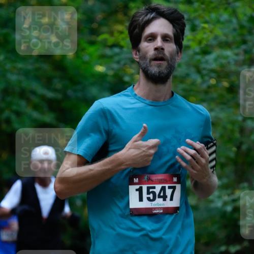 28.09.2025 - 33. Volkslauf durch das schöne Alstertal Patografie http://msf.ph/oto/8965906 28.09.2025 09:10:55 Laufen 1547 meine-sportfotos.de