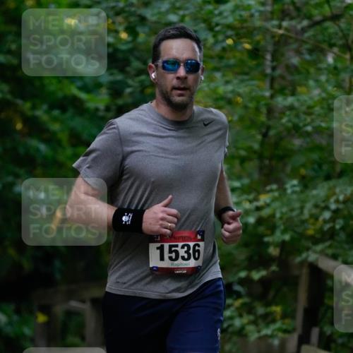28.09.2025 - 33. Volkslauf durch das schöne Alstertal Patografie http://msf.ph/oto/8965907 28.09.2025 09:11:04 Laufen 1536 meine-sportfotos.de