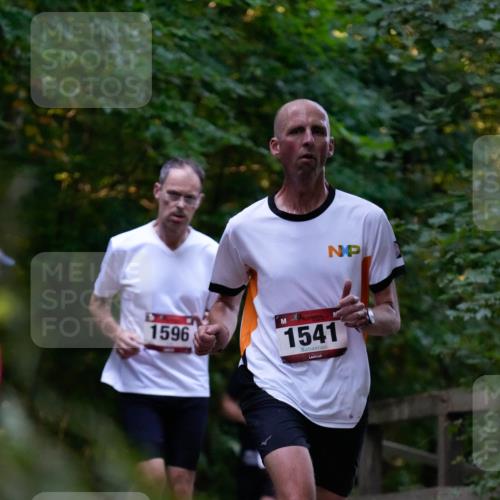 28.09.2025 - 33. Volkslauf durch das schöne Alstertal Patografie http://msf.ph/oto/8965914 28.09.2025 09:11:41 Laufen 1596, 1541 meine-sportfotos.de
