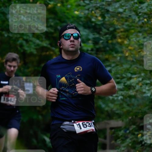 28.09.2025 - 33. Volkslauf durch das schöne Alstertal Patografie http://msf.ph/oto/8965917 28.09.2025 09:11:45 Laufen 1542, 1630 meine-sportfotos.de