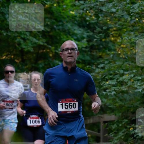 28.09.2025 - 33. Volkslauf durch das schöne Alstertal Patografie http://msf.ph/oto/8965921 28.09.2025 09:11:50 Laufen 4802, 1006, 1560 meine-sportfotos.de