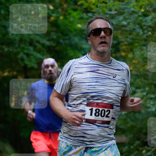 28.09.2025 - 33. Volkslauf durch das schöne Alstertal Patografie http://msf.ph/oto/8965923 28.09.2025 09:11:53 Laufen 1802 meine-sportfotos.de