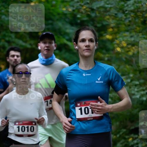 28.09.2025 - 33. Volkslauf durch das schöne Alstertal Patografie http://msf.ph/oto/8965937 28.09.2025 09:13:03 Laufen 1010, 74, 1017 meine-sportfotos.de