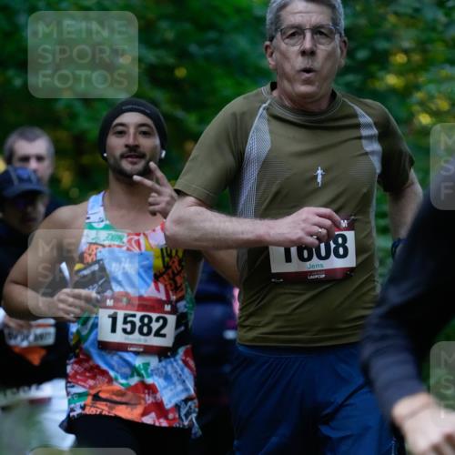 28.09.2025 - 33. Volkslauf durch das schöne Alstertal Patografie http://msf.ph/oto/8965942 28.09.2025 09:13:25 Laufen 1608, 1582 meine-sportfotos.de