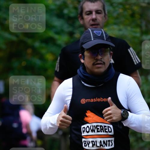 28.09.2025 - 33. Volkslauf durch das schöne Alstertal Patografie http://msf.ph/oto/8965946 28.09.2025 09:13:28 Laufen  meine-sportfotos.de