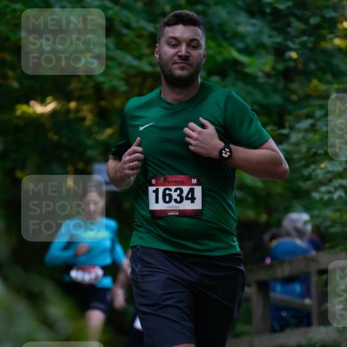 28.09.2025 - 33. Volkslauf durch das schöne Alstertal Patografie http://msf.ph/oto/8965950 28.09.2025 09:13:40 Laufen 1634 meine-sportfotos.de