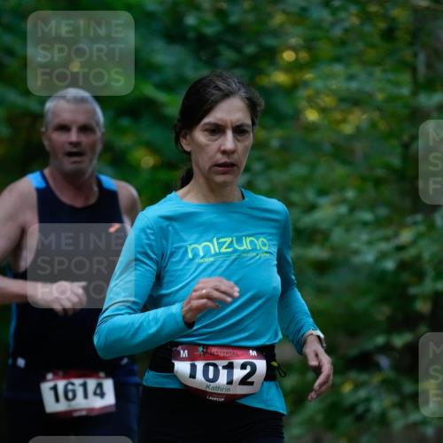 28.09.2025 - 33. Volkslauf durch das schöne Alstertal Patografie http://msf.ph/oto/8965951 28.09.2025 09:13:44 Laufen 1614, 1012 meine-sportfotos.de