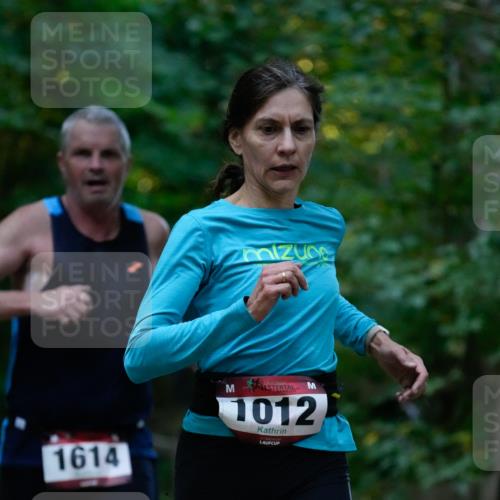 28.09.2025 - 33. Volkslauf durch das schöne Alstertal Patografie http://msf.ph/oto/8965953 28.09.2025 09:13:44 Laufen 1614, 1012 meine-sportfotos.de