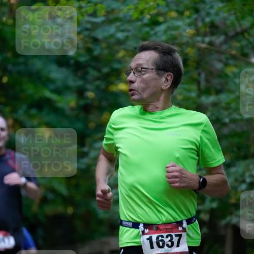 28.09.2025 - 33. Volkslauf durch das schöne Alstertal Patografie http://msf.ph/oto/8965956 28.09.2025 09:14:00 Laufen 1637 meine-sportfotos.de