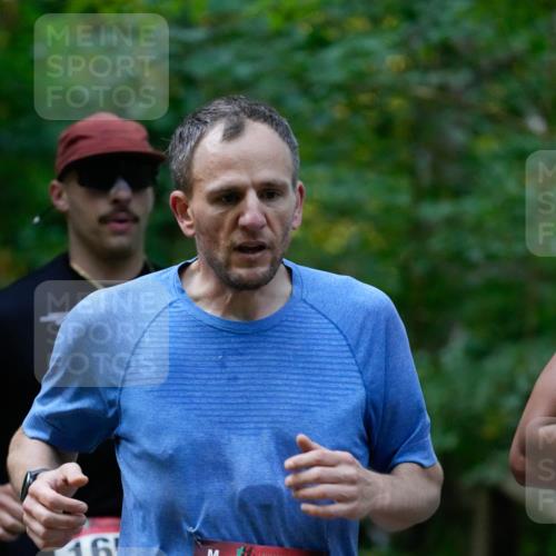 28.09.2025 - 33. Volkslauf durch das schöne Alstertal Patografie http://msf.ph/oto/8965959 28.09.2025 09:14:05 Laufen 16, 1610 meine-sportfotos.de