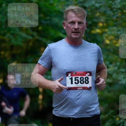 28.09.2025 - 33. Volkslauf durch das schöne Alstertal Patografie http://msf.ph/oto/8965969 28.09.2025 09:14:21 Laufen 1588 meine-sportfotos.de