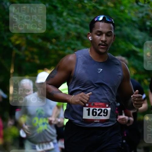 28.09.2025 - 33. Volkslauf durch das schöne Alstertal Patografie http://msf.ph/oto/8965978 28.09.2025 09:14:37 Laufen 7, 1629 meine-sportfotos.de