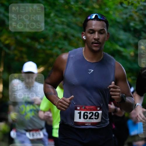 28.09.2025 - 33. Volkslauf durch das schöne Alstertal Patografie http://msf.ph/oto/8965979 28.09.2025 09:14:37 Laufen 7, 1629 meine-sportfotos.de