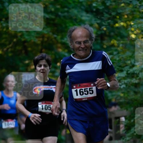 28.09.2025 - 33. Volkslauf durch das schöne Alstertal Patografie http://msf.ph/oto/8966008 28.09.2025 09:15:43 Laufen 1649, 105, 1655 meine-sportfotos.de