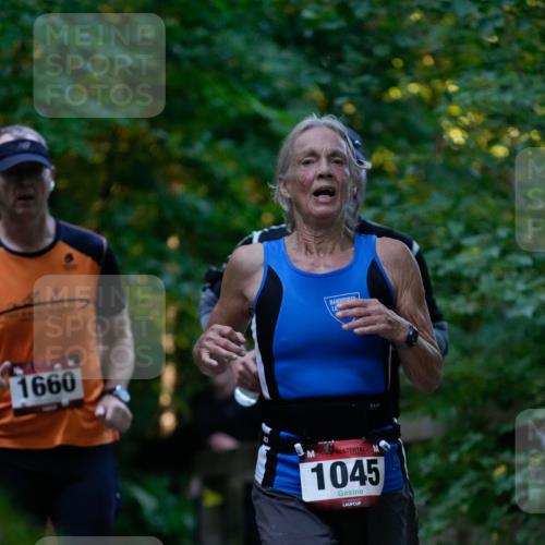 28.09.2025 - 33. Volkslauf durch das schöne Alstertal Patografie http://msf.ph/oto/8966009 28.09.2025 09:15:46 Laufen 1660, 1045 meine-sportfotos.de